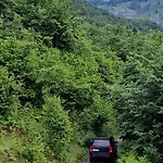 Bujtina Alia Pensionat Vrana