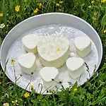Bujtina Alia * Vrana