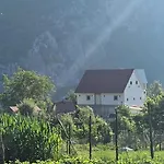 Bujtina Alia * Vrana