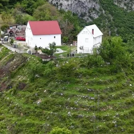 Bujtina Alia *