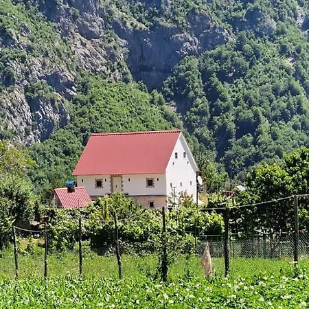 Bujtina Alia بيت ضيافة Vrana