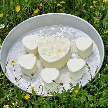 Bujtina Alia * Vrana