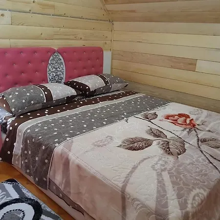 Bujtina Alia بيت ضيافة *