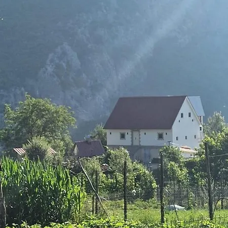 Bujtina Alia * Vrana