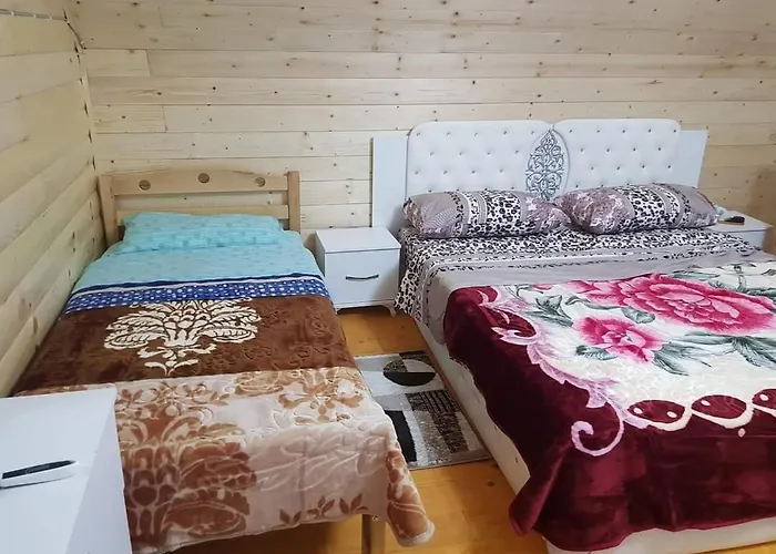 Bujtina Alia