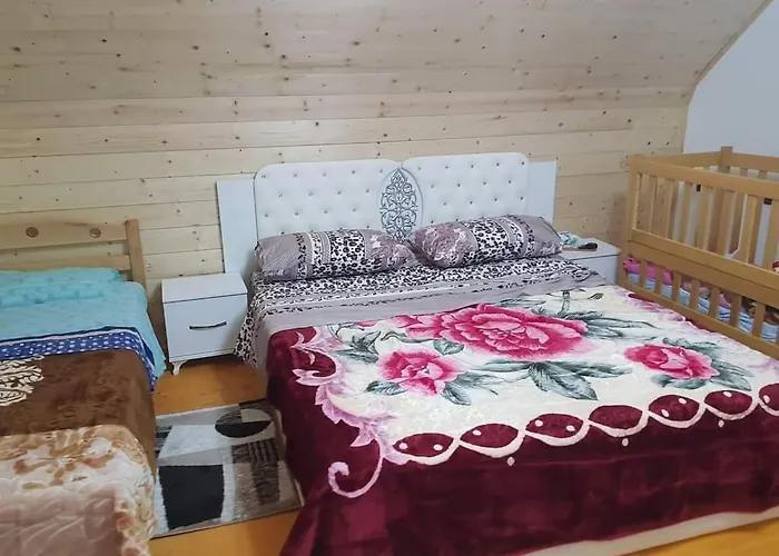 Bujtina Alia