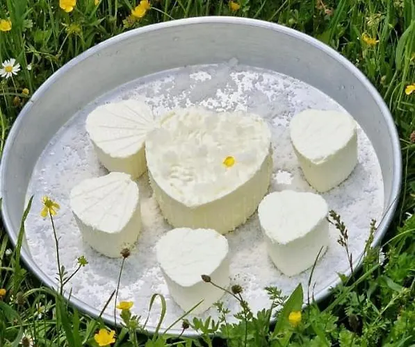 Bujtina Alia * Vrana