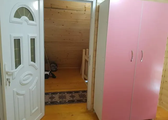 Bujtina Alia Penzion *