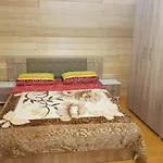 Bujtina Alia