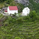 Bujtina Alia *