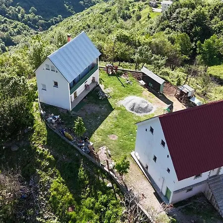 Bujtina Alia * Vrana