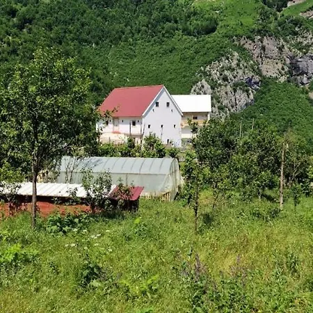 Гостевой дом Bujtina Alia *