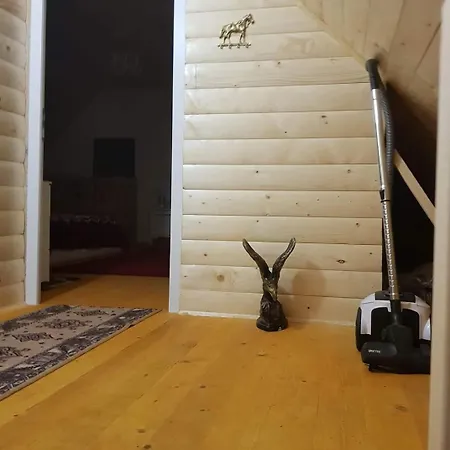 Гостевой дом Bujtina Alia