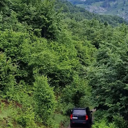 Bujtina Alia Гостевой дом Vrana