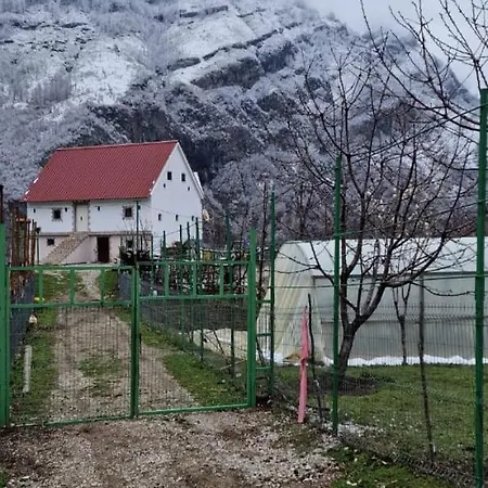 Bujtina Alia * Vrana