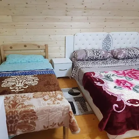 Bujtina Alia