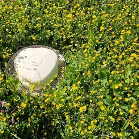 Pensión Bujtina Alia