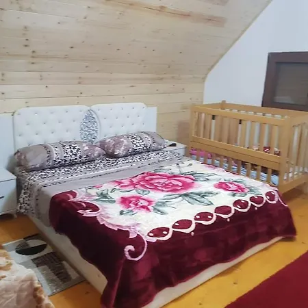 Bujtina Alia Penzion *