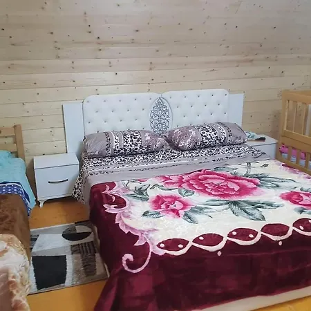 Bujtina Alia