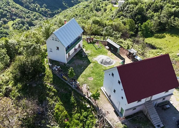 Bujtina Alia * Vrana