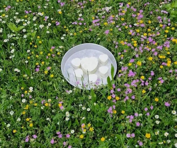 Bujtina Alia Pensjonat Vrana