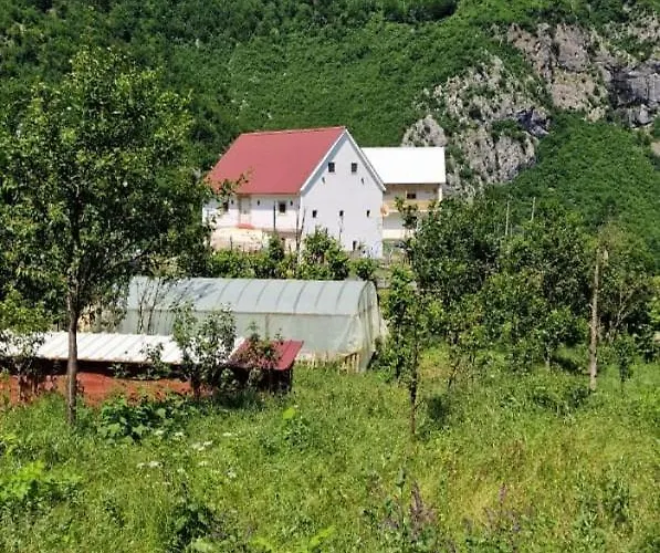 Pensión Bujtina Alia *