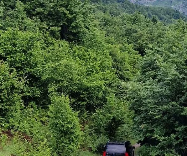 Bujtina Alia Pensión Vrana