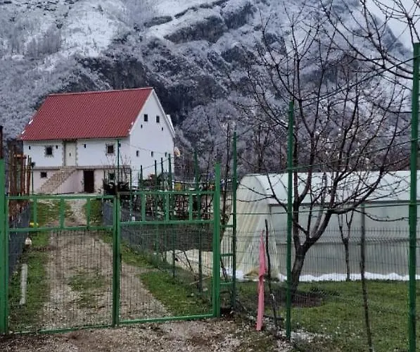 Bujtina Alia * Vrana