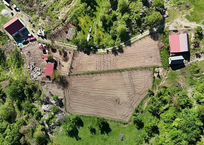 Bujtina Alia Pensjonat *