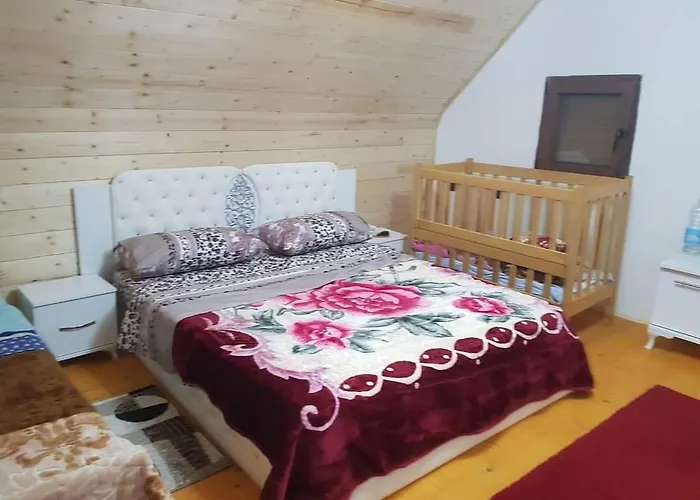 Bujtina Alia Pensión *