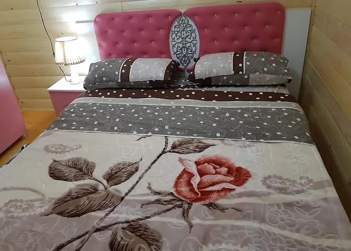 Bujtina Alia * Vrana