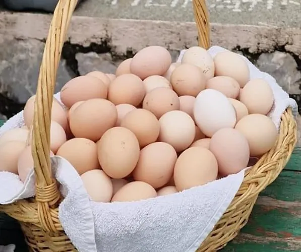 Bujtina Alia Pensjonat *