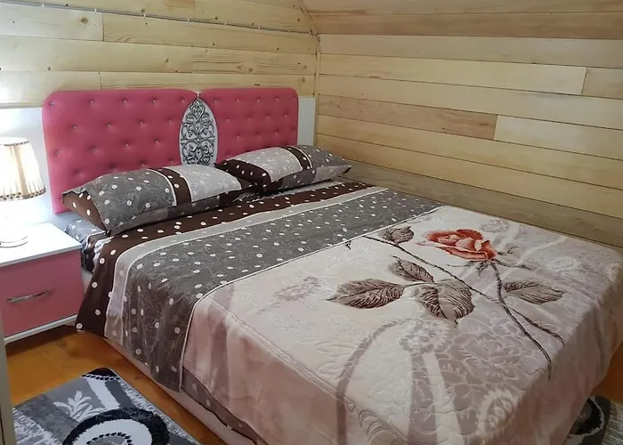 Bujtina Alia Pensjonat *