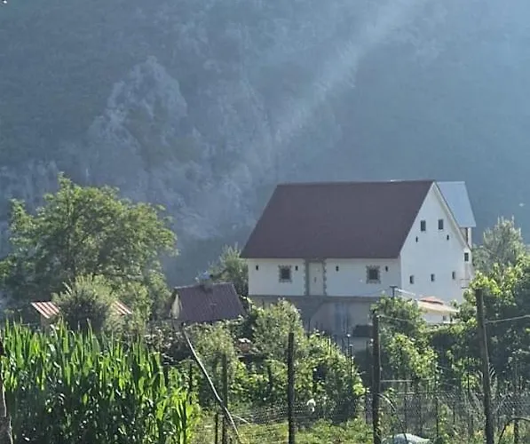 Bujtina Alia * Vrana